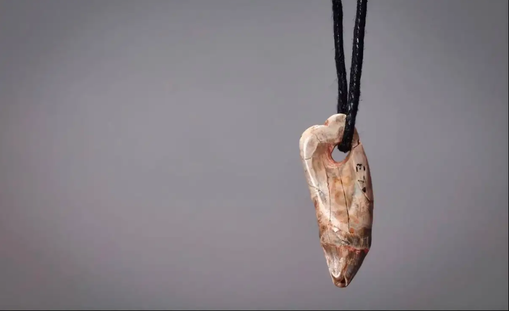 Magdaleniense, civilización prehistórica con marcada preferencia por la joyería de origen marítimo