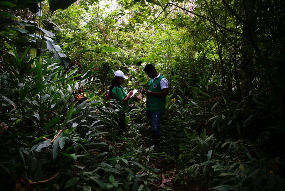 Rescatan a seis hermanos que se ocultaban en la selva colombiana para evitar ser reclutados por las FARC