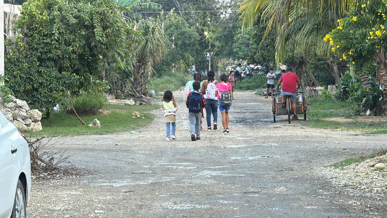Llevarán transporte público a colonias irregulares de Tulum
