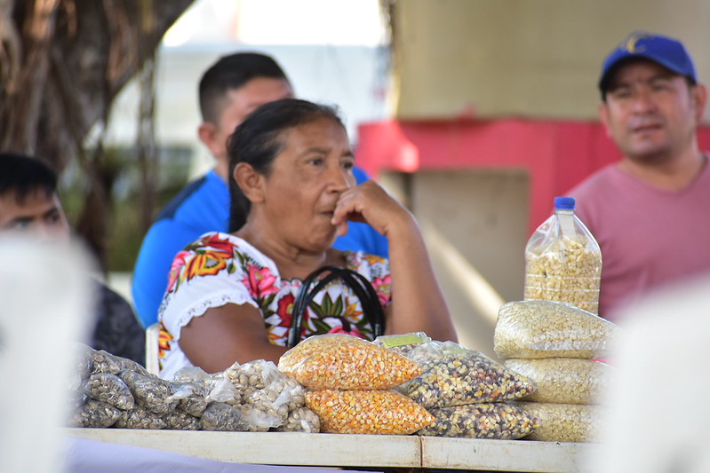 Pueblos mayas advierten imperfecciones en La Ley General Indígena 