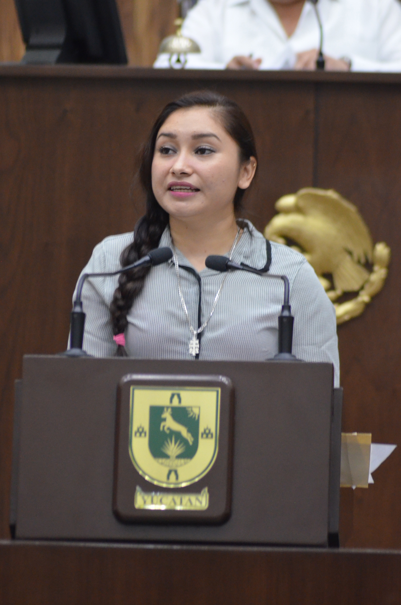 No se ven resultados de Escudo