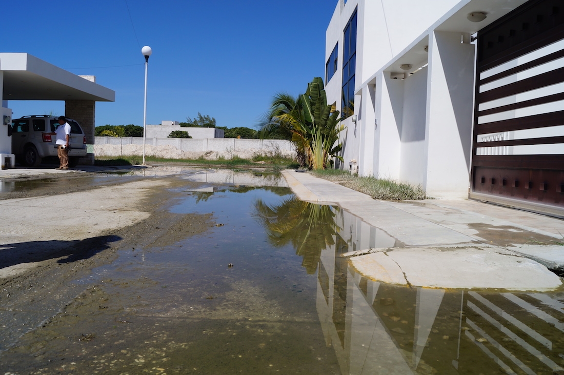 Que negocios locales participen en el Tren Maya: empresarios a AMLO