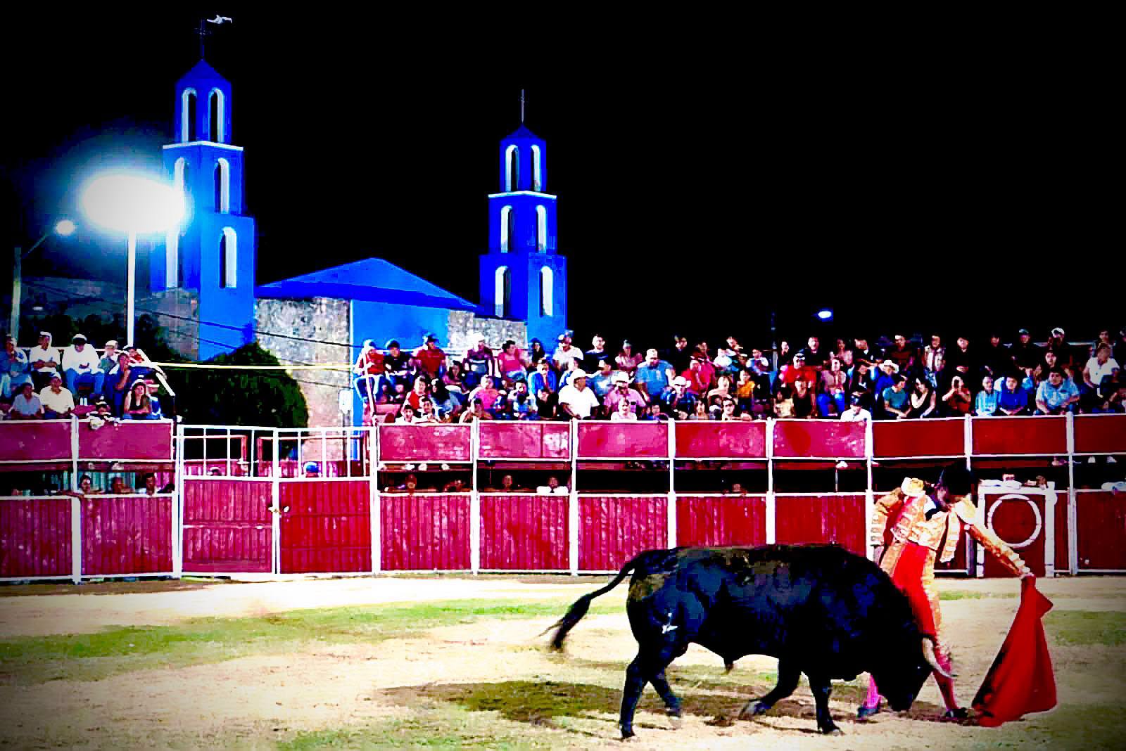 Activistas animalistas logran frenar corrida de toros en Muna, Yucatán 