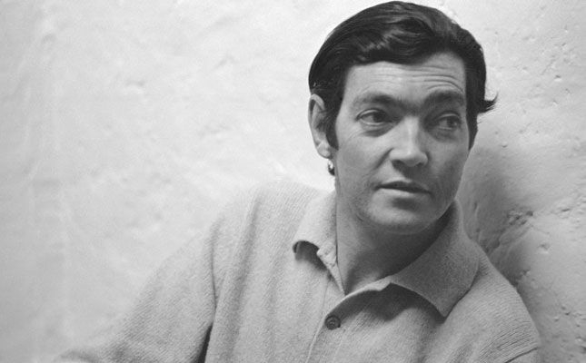 Cortazar a través de la fotografía