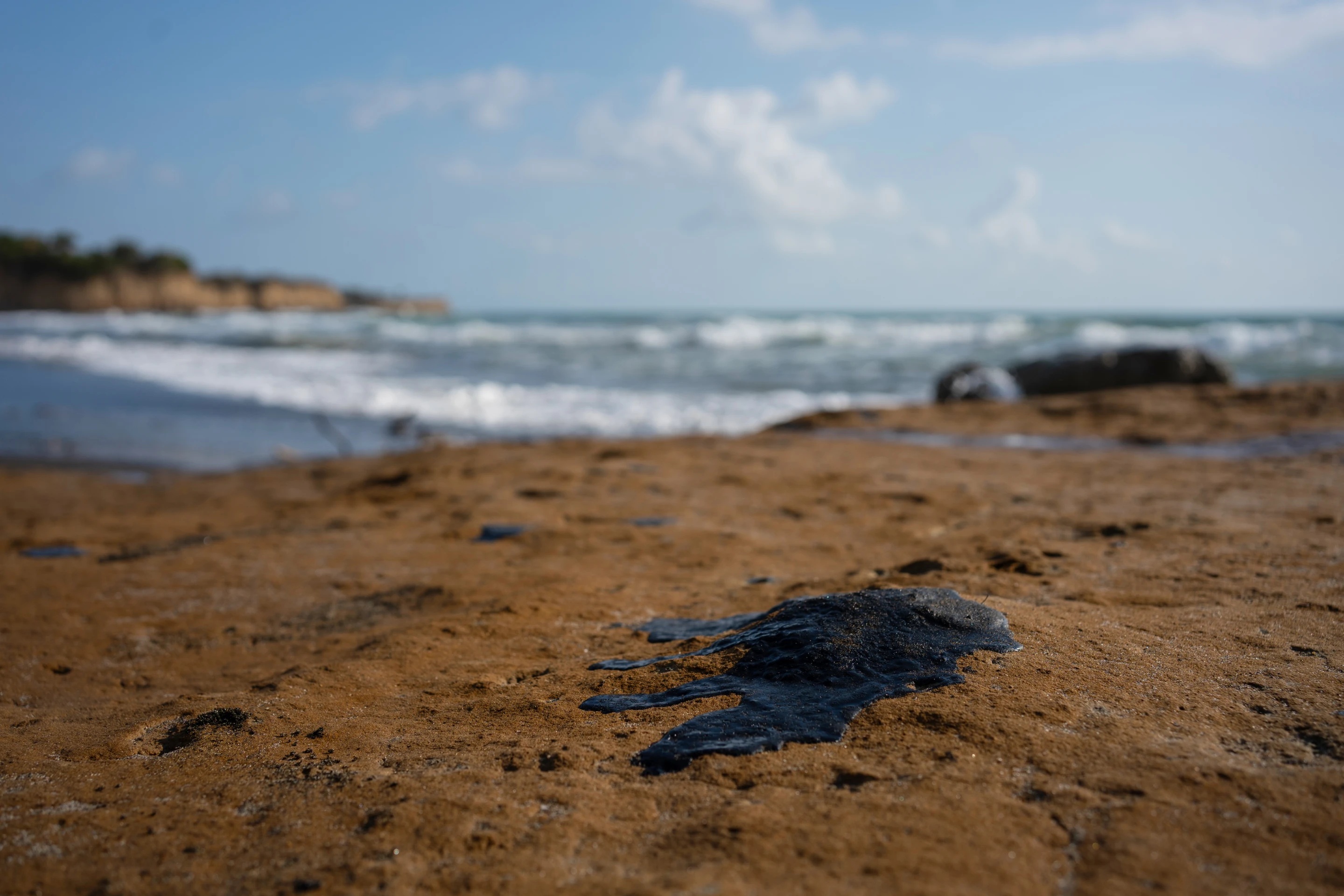 Cae 60% la fauna marina en el Golfo de México, tras derrame petrolero de 2010
