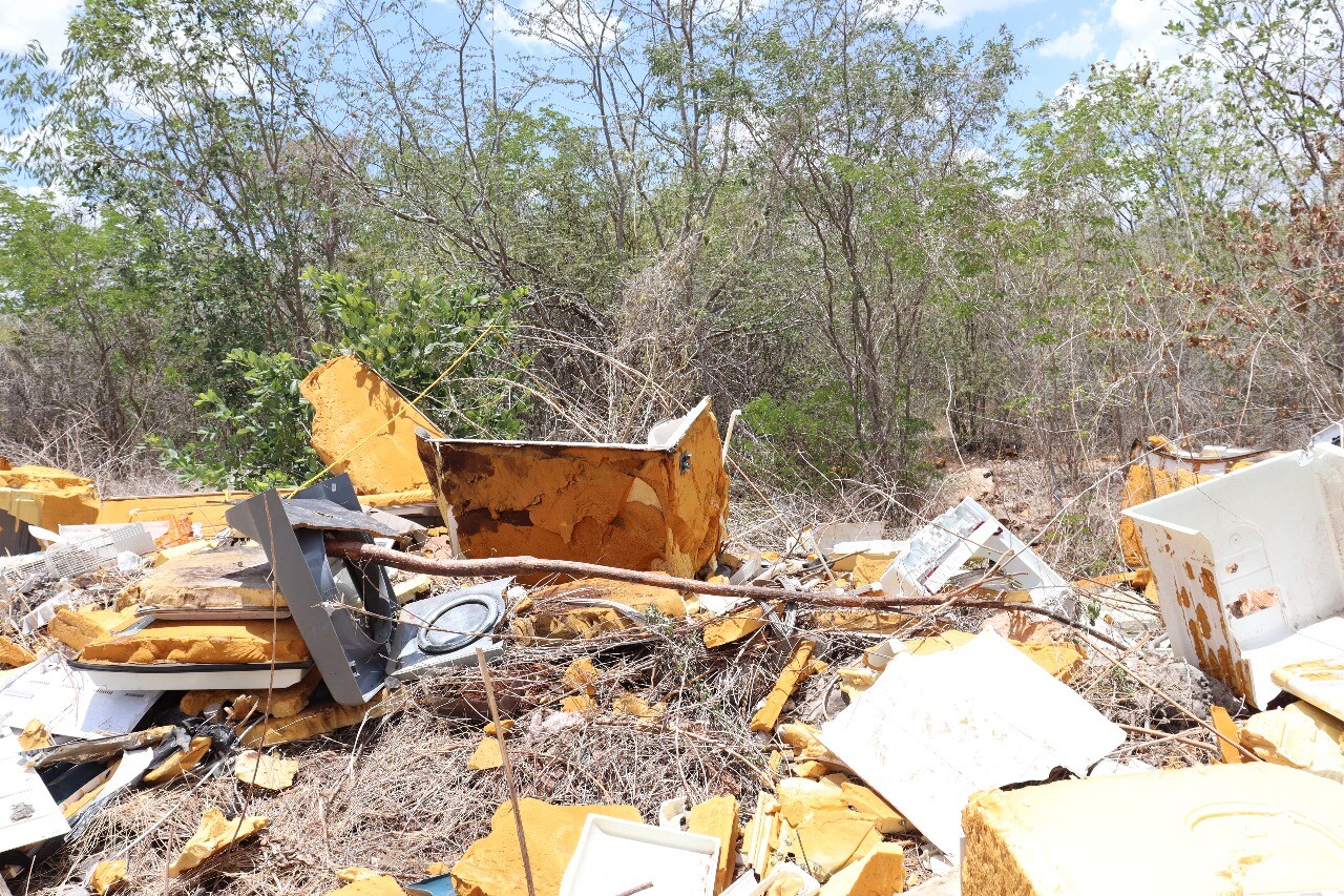 Reserva Ecológica de Cuxtal denuncia desmonte y lotificación irregular