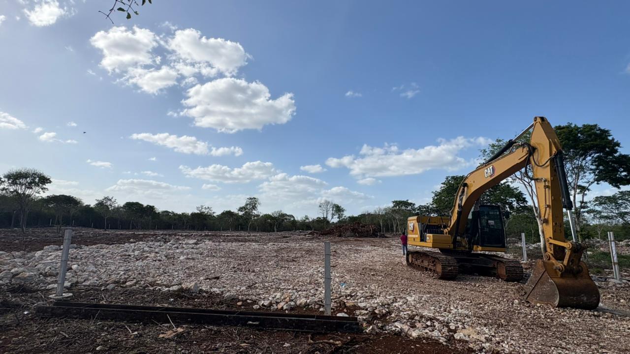 Clausuran predio en la Reserva Cuxtal por remoción ilícita de vegetación