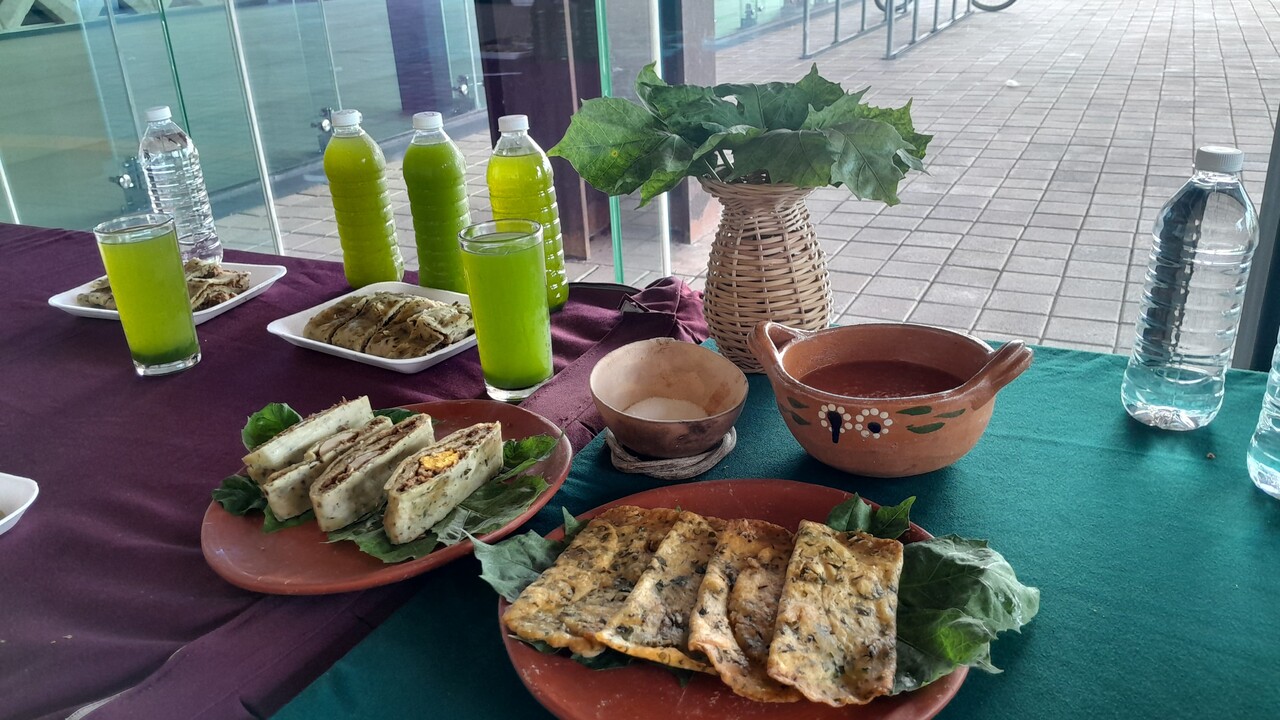 Alistan la segunda edición del Festival de la Chaya en Tekax: Conoce los detalles