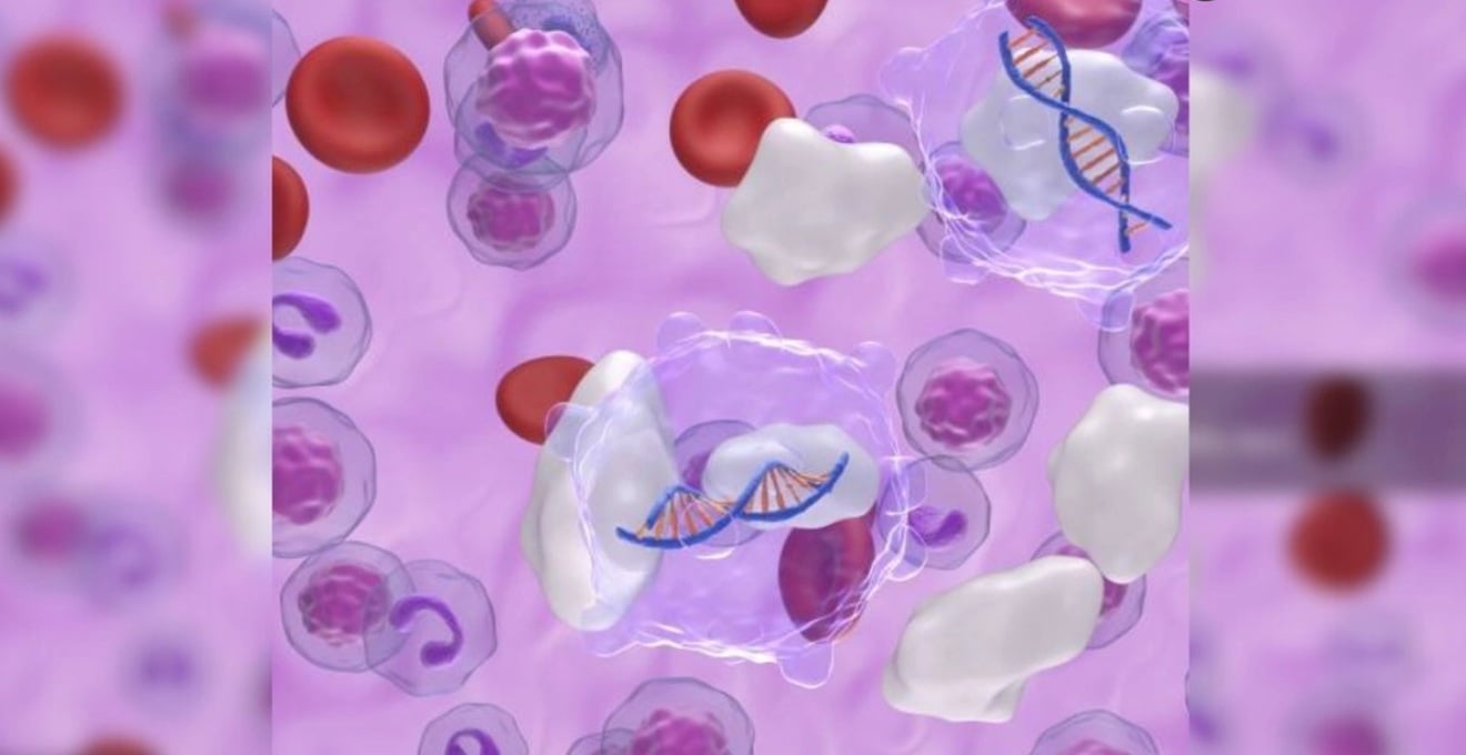 Un proyecto avanza en la cura para la diabetes tipo 1: genera células productoras de insulina a partir de piel humana