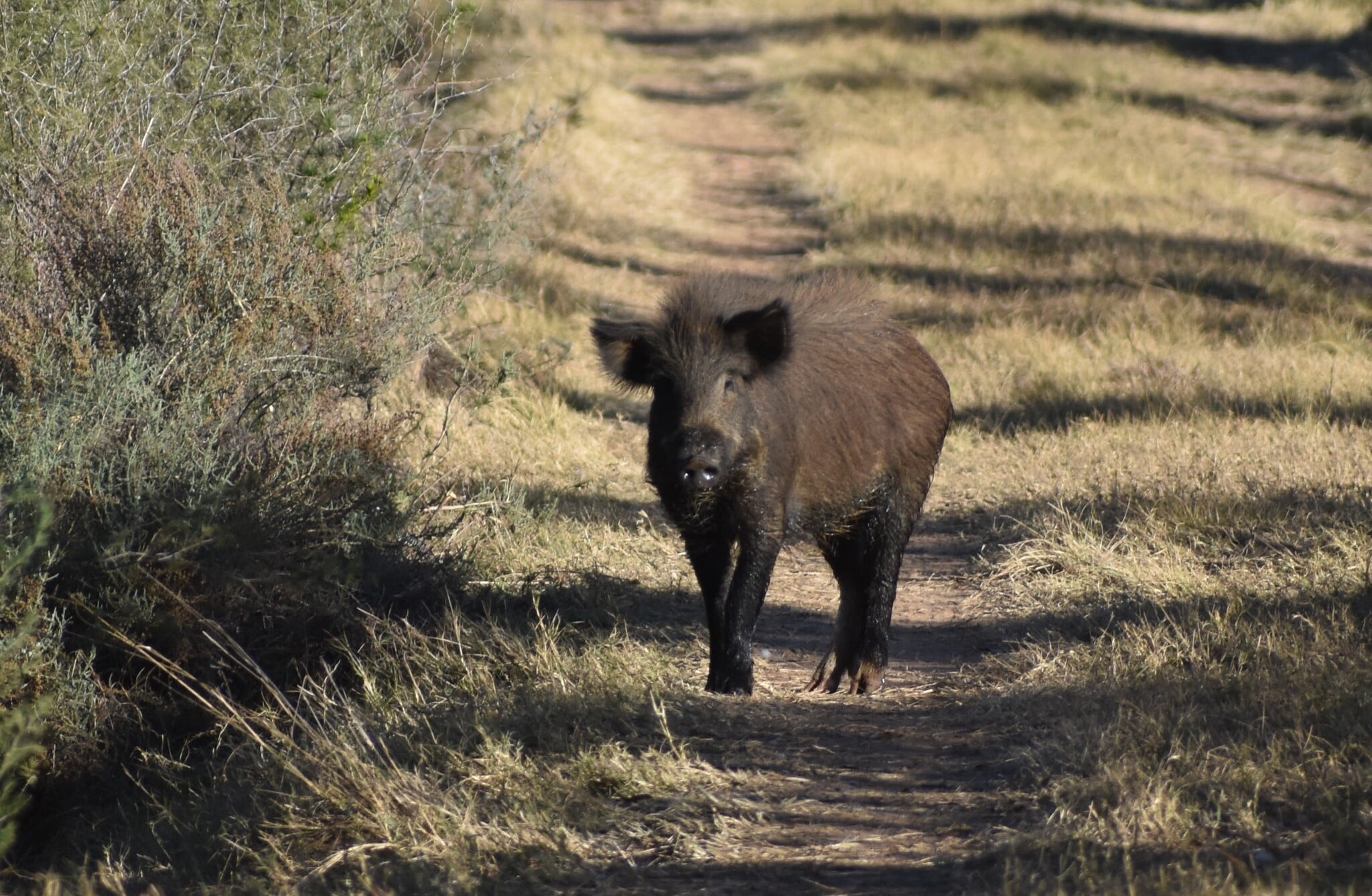 Vietnamitail k’éek’en, k’a’anan tumen suuk u jaanta’al tumen máasewal kaajo’ob