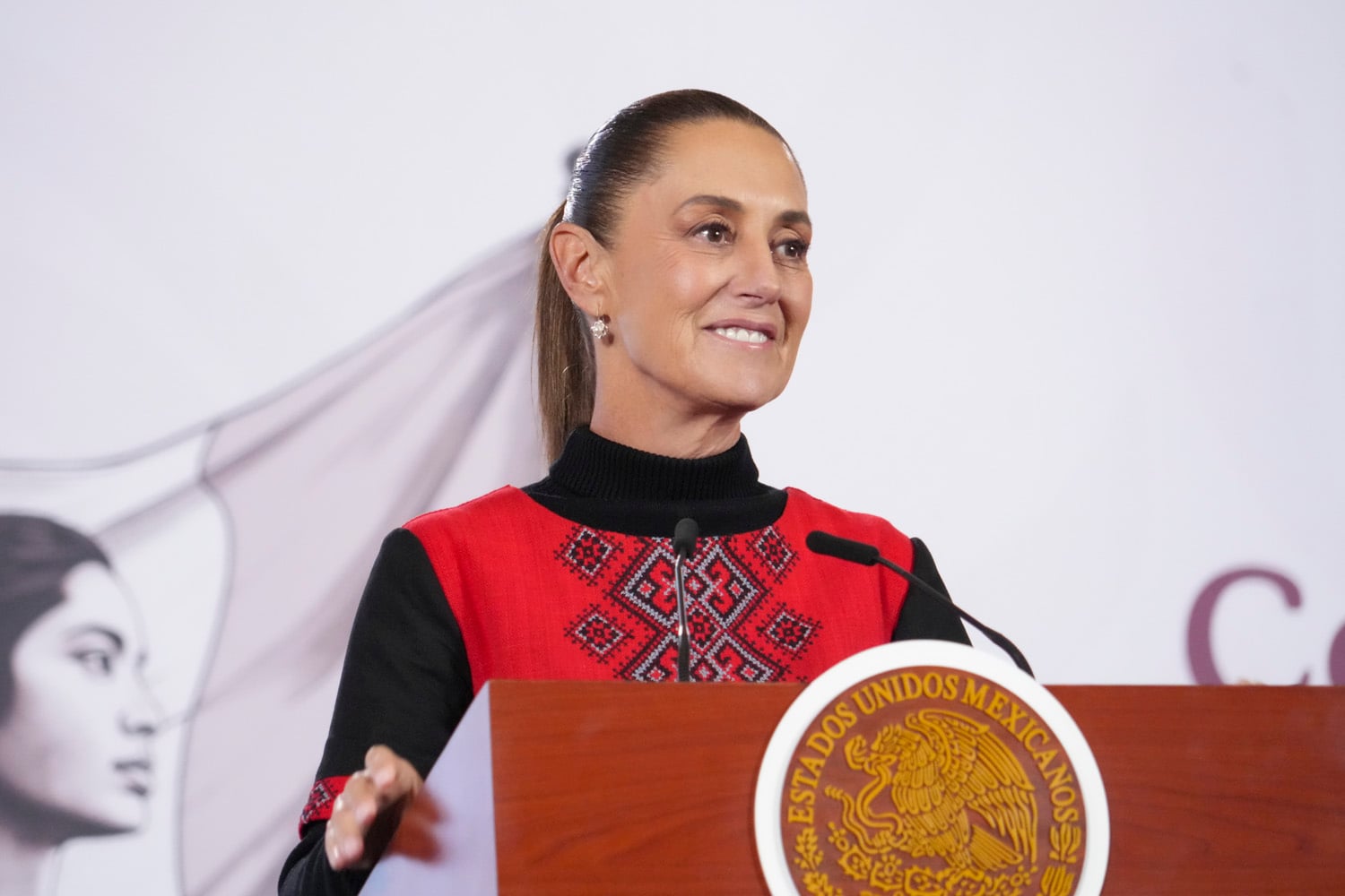 Reformando la propuesta de reforma 