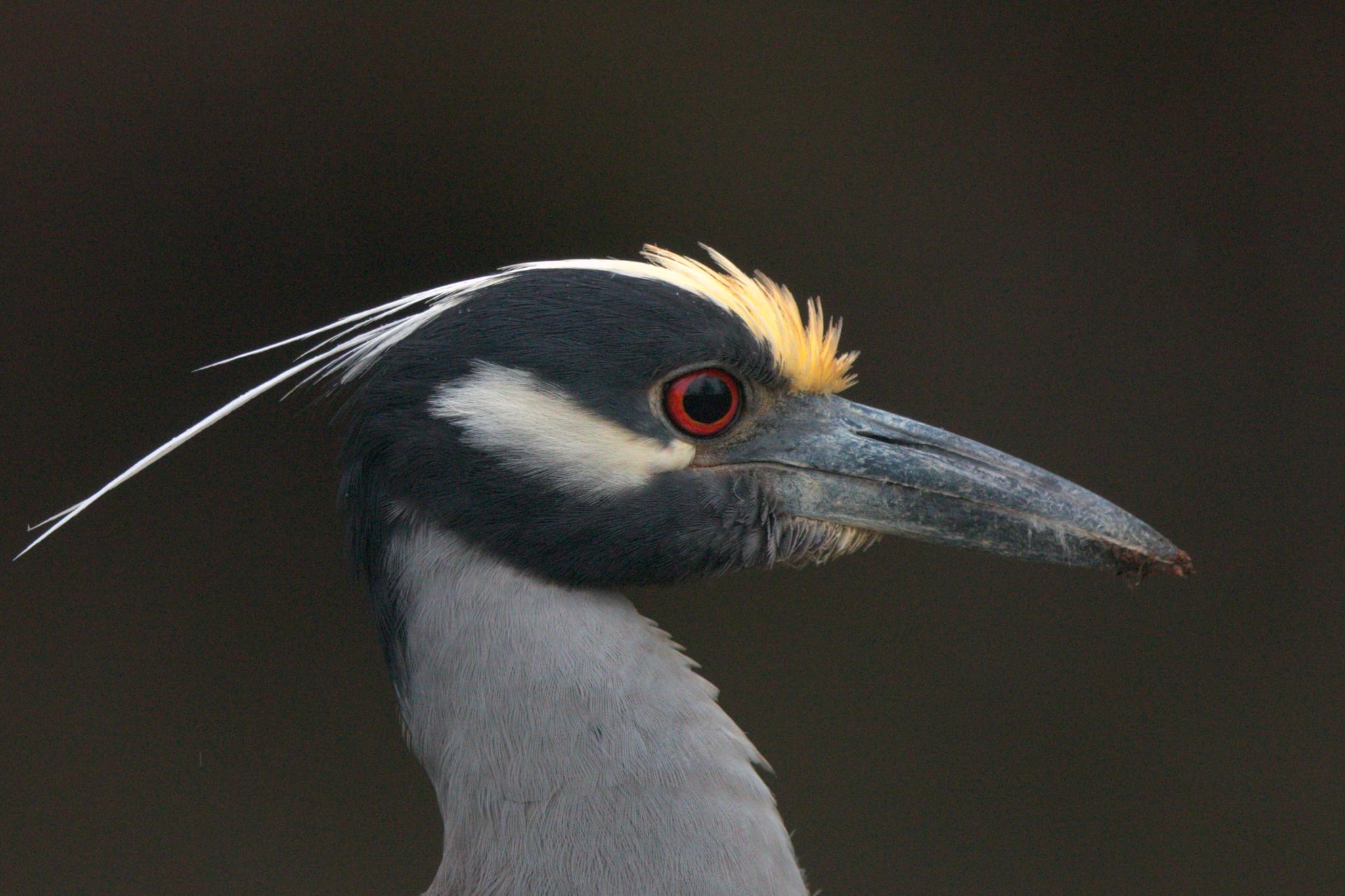 Ch’íich’ ja’, ba’alche’ beetik u no’ojan yantal kuxtal ja’ob ma’ seen taamtako’obi’