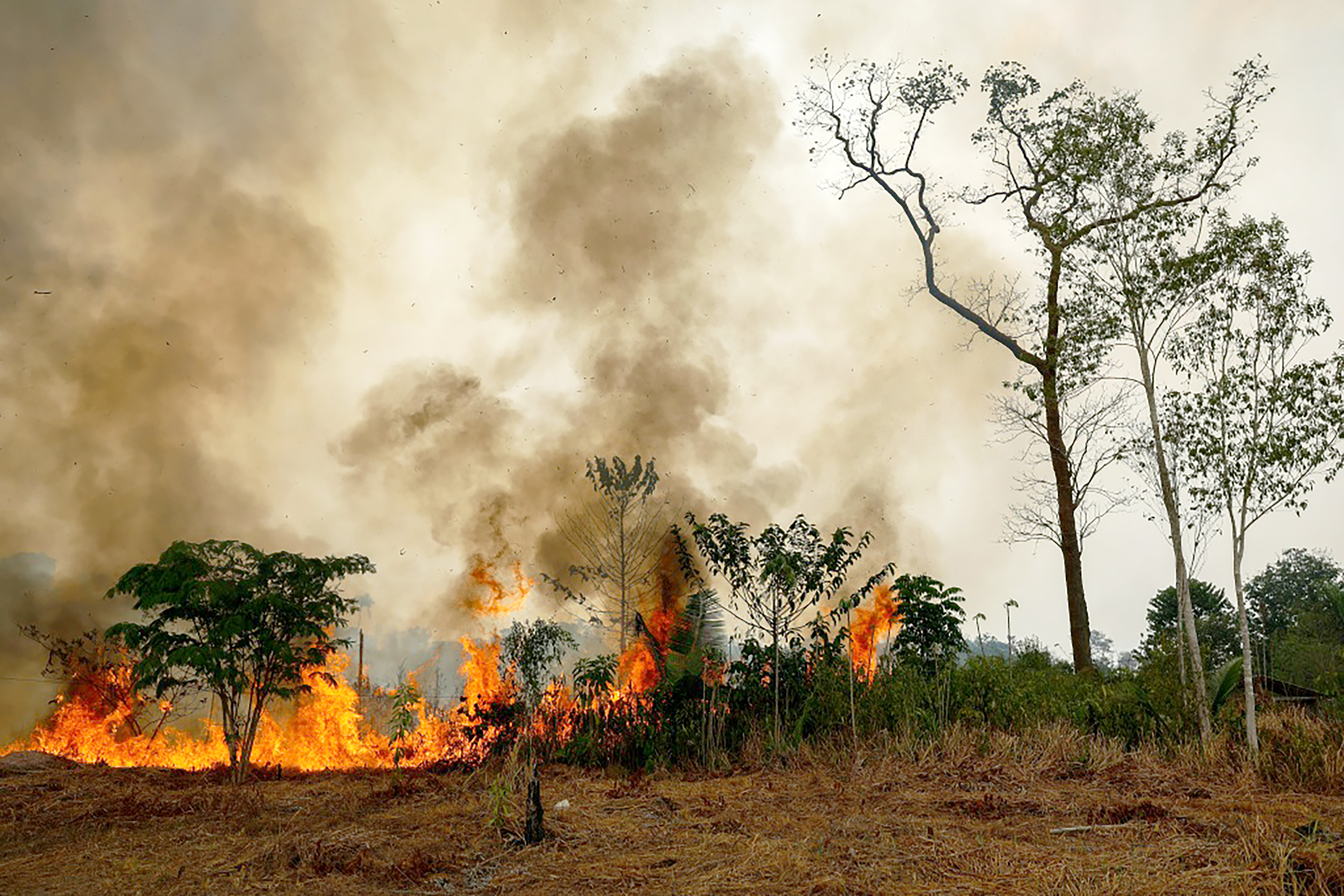 K’áak’ eelsik Amazoníae’ ya’abchaj 253%; k’a’ayta’ab estado de emergencia ti’ 36 méek’tankaajo’ob