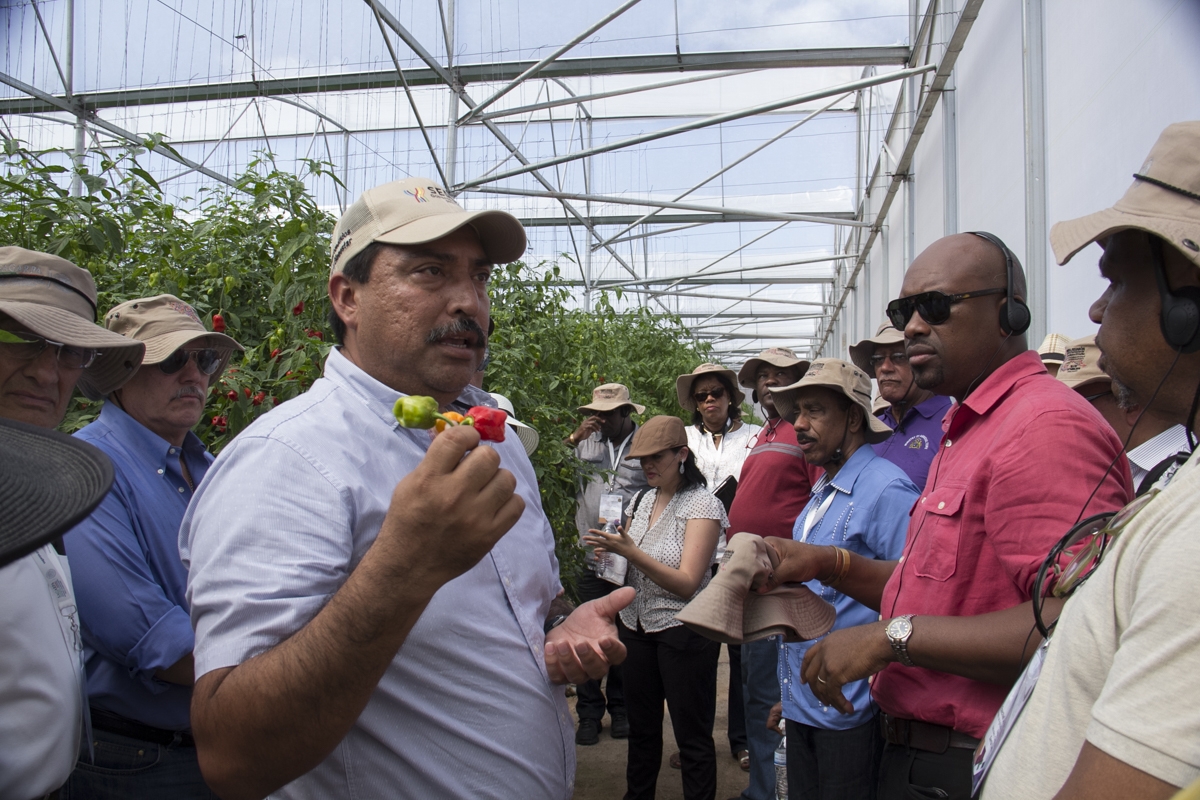 Ministros visitan campos yucatecos