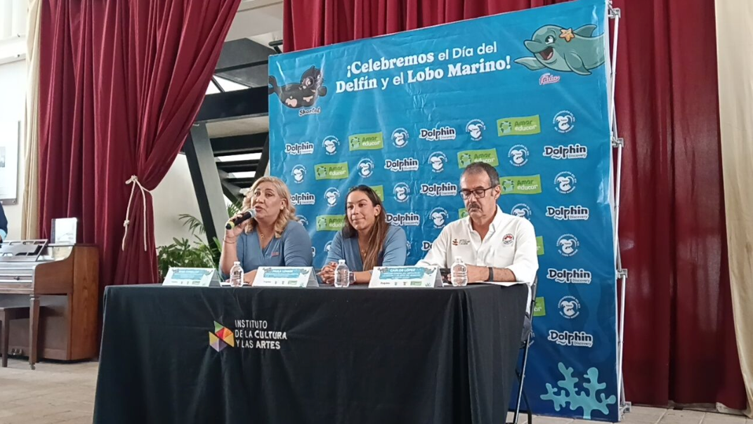 Celebrarán en Cancún el Día del Delfín y el Lobo Marino: Conoce los detalles
