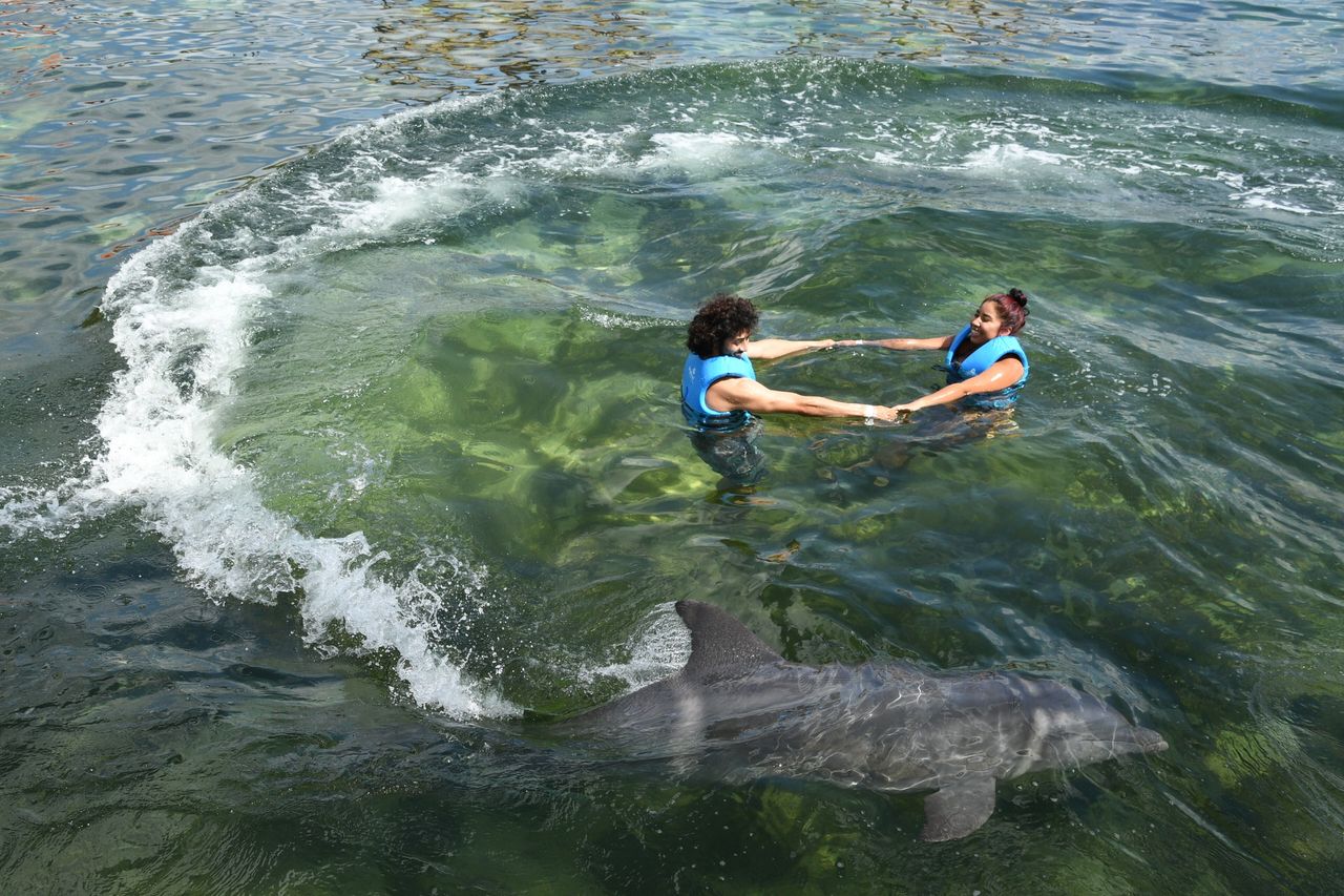 Baja ocupación en parques turísticos del Caribe Mexicano