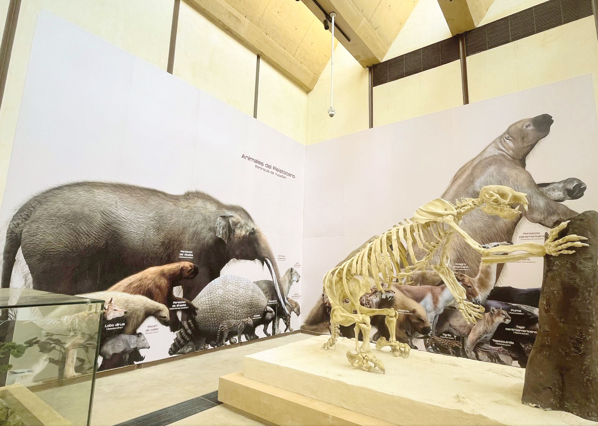 Espeleobuzos quieren retomar proyecto del museo en el ejido Jacinto Pat de Tulum