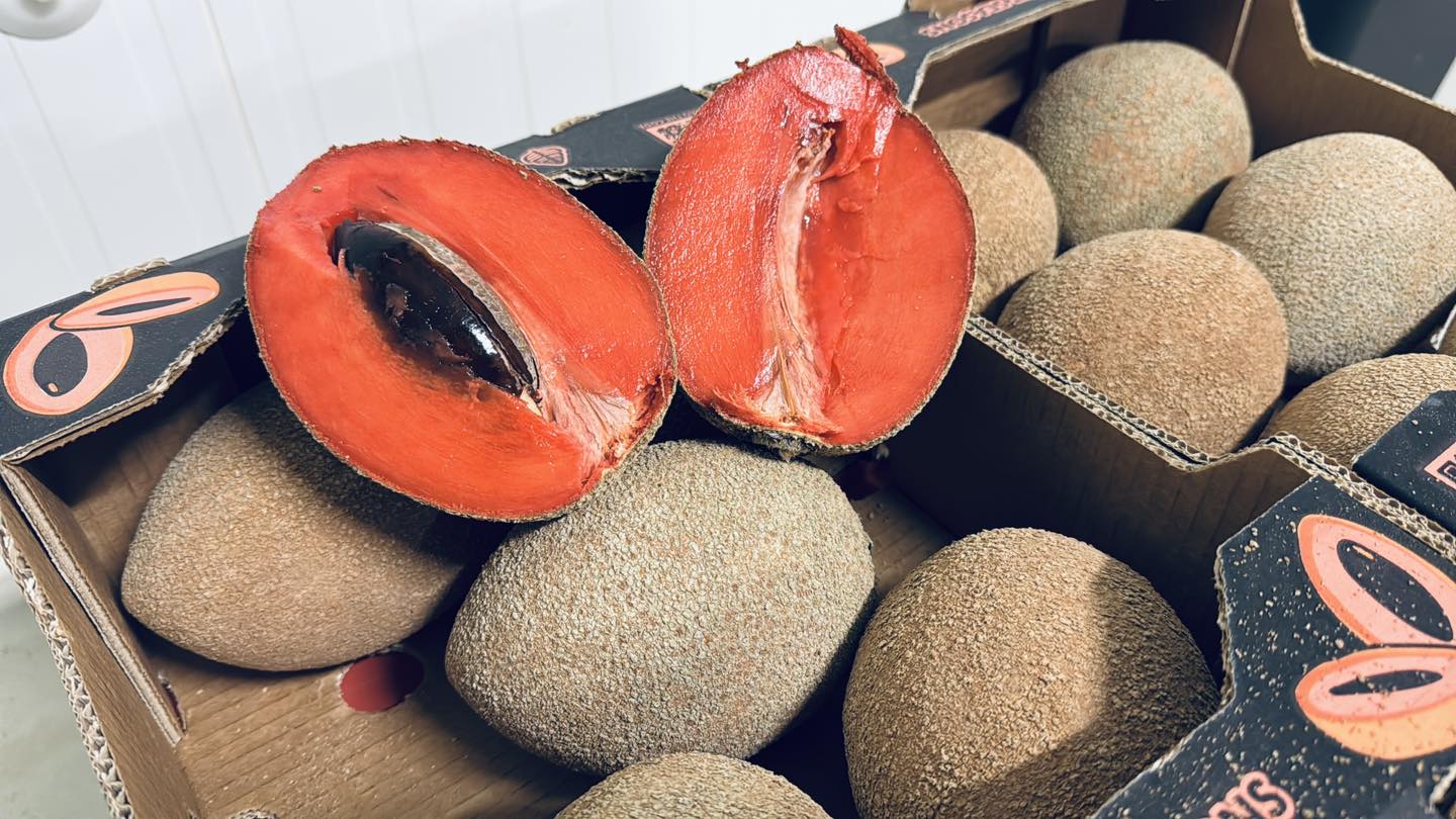 Béeychaj u yáax túuxta’al cháakal ja’as pak’a’ab Yucatán tak Reino Unido 