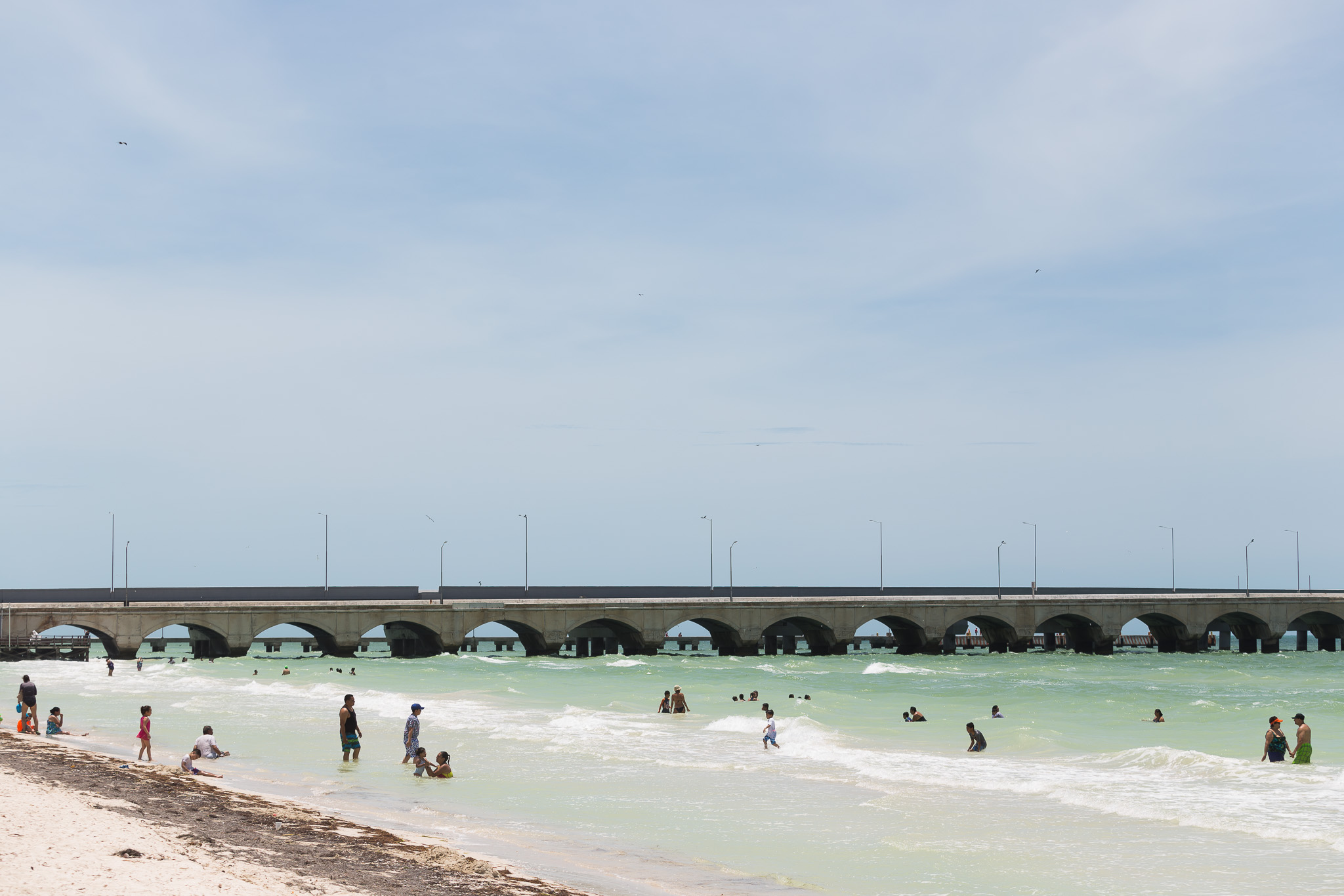 En Yucatán, todo el peso de la ley a quienes cometan ecocidios o depredación de especies