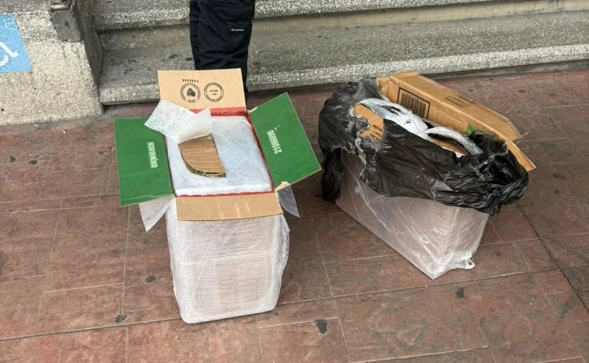 Michoacán: capturan a pareja que intentó enviar por paquetería 28.5 kilogramos de mariguana