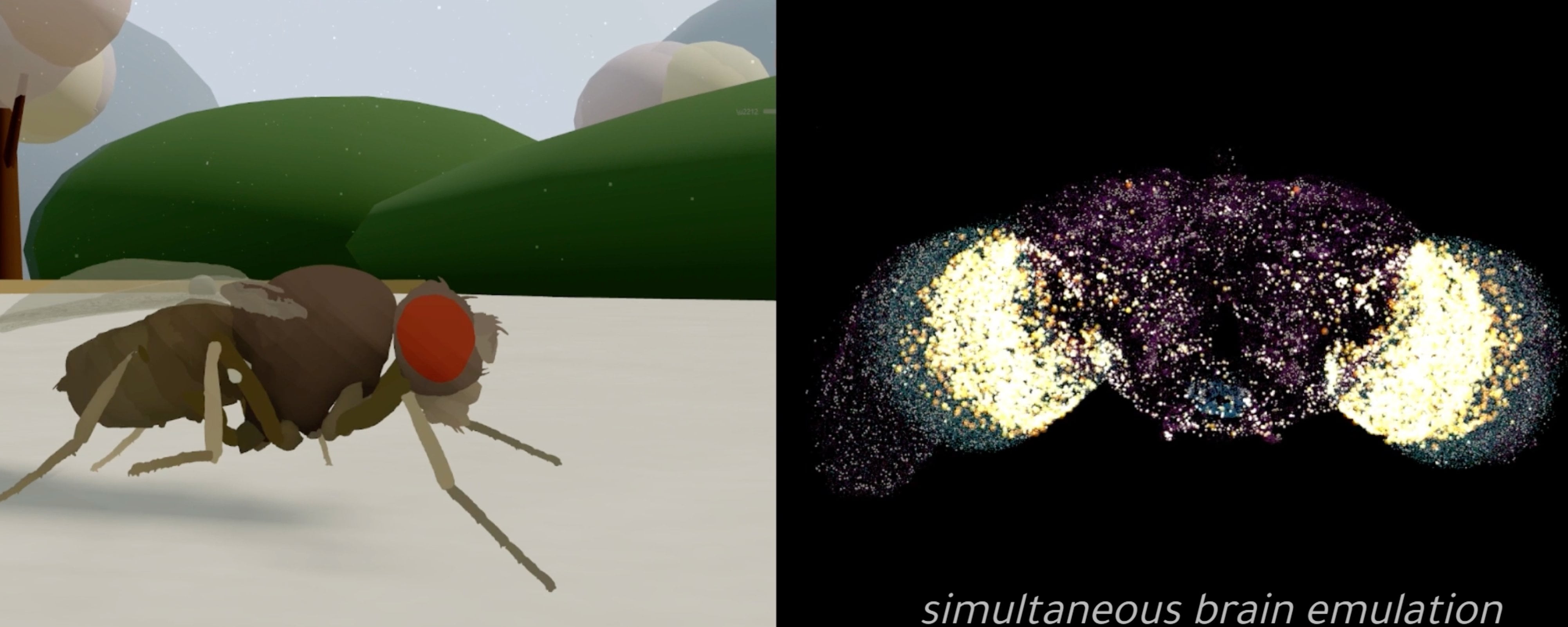 Ajxaak’alo’obe’ tu kopiarto’ob u ts’o’omel u pool juntúul xya’axkach ti’al u ts’a’abal ti’ síimulador díijital