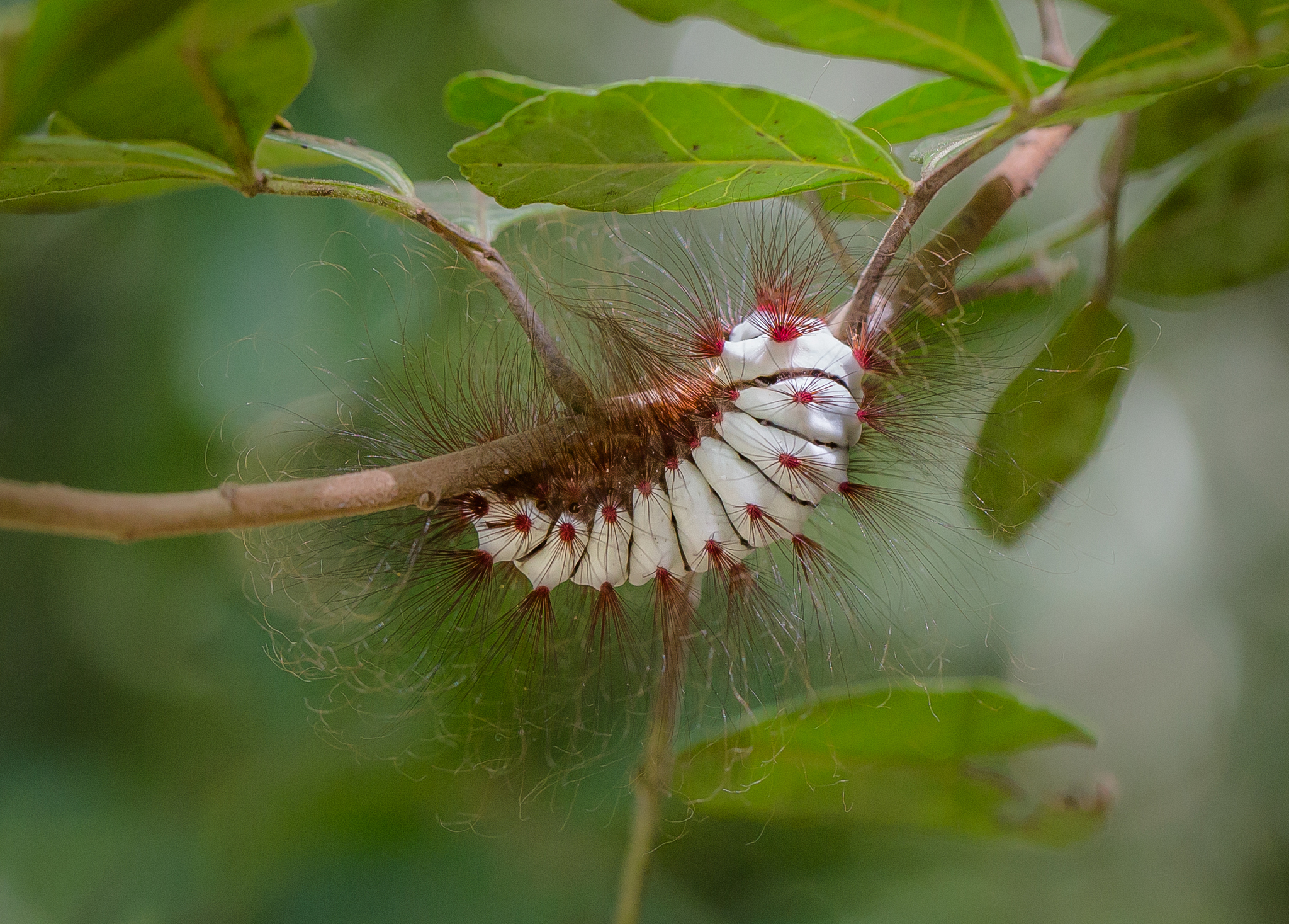 Xchamal k’iin xnook’ol ts’áak k’i’inam ti’ wíinik