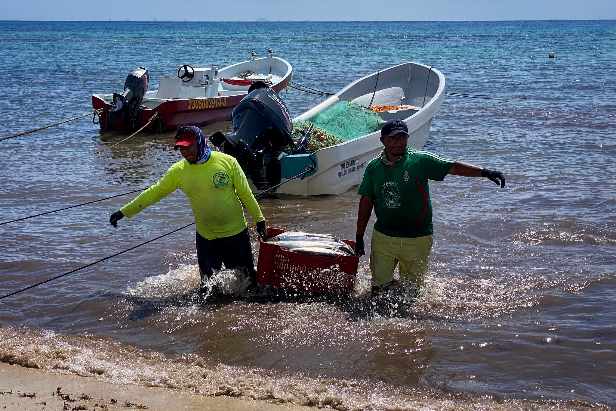Quintana Roo inicia recaudación de ingresos por permisos federales de pesca