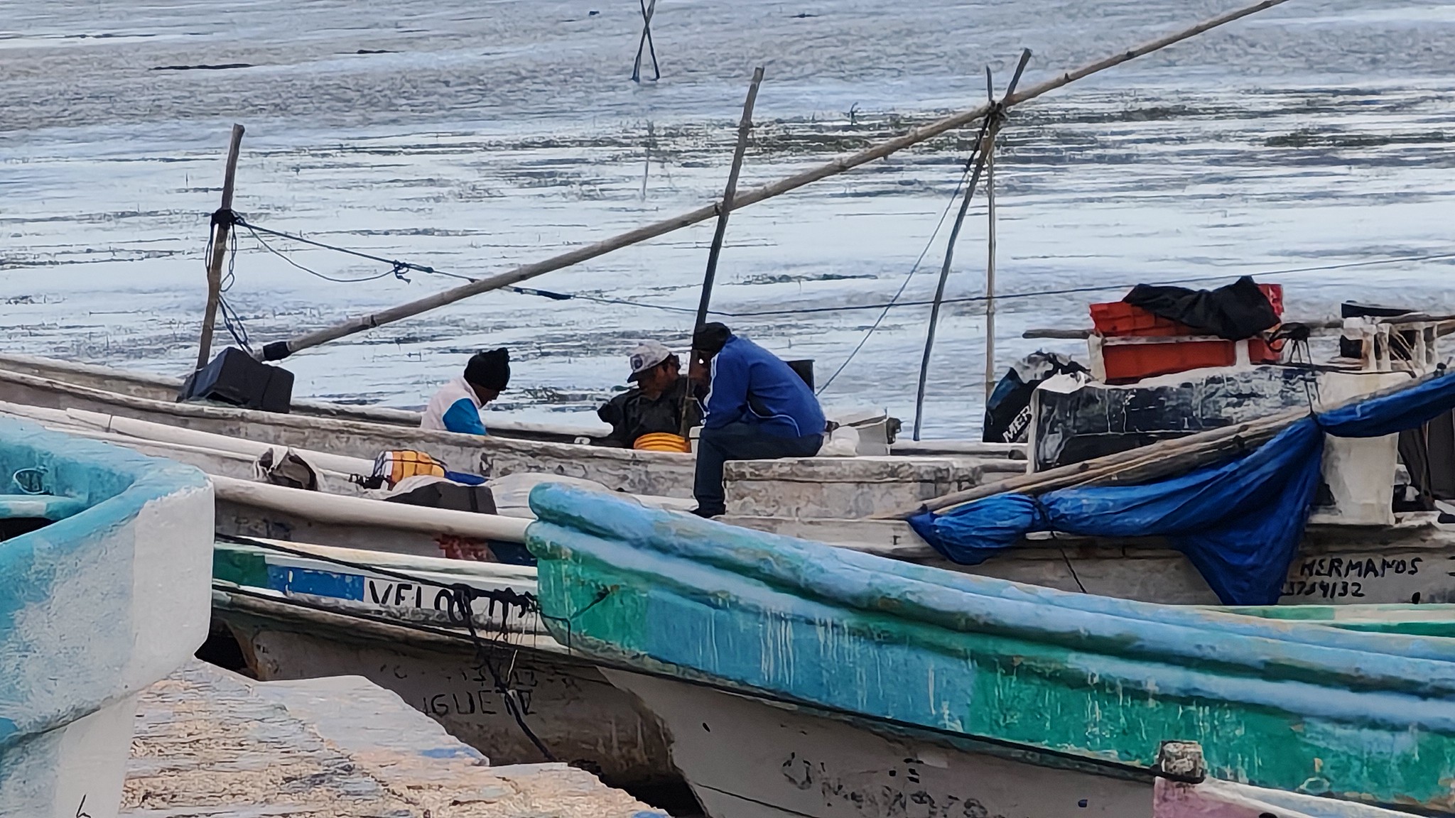 Bajas capturas golpean a pescadores de Ciudad del Carmen