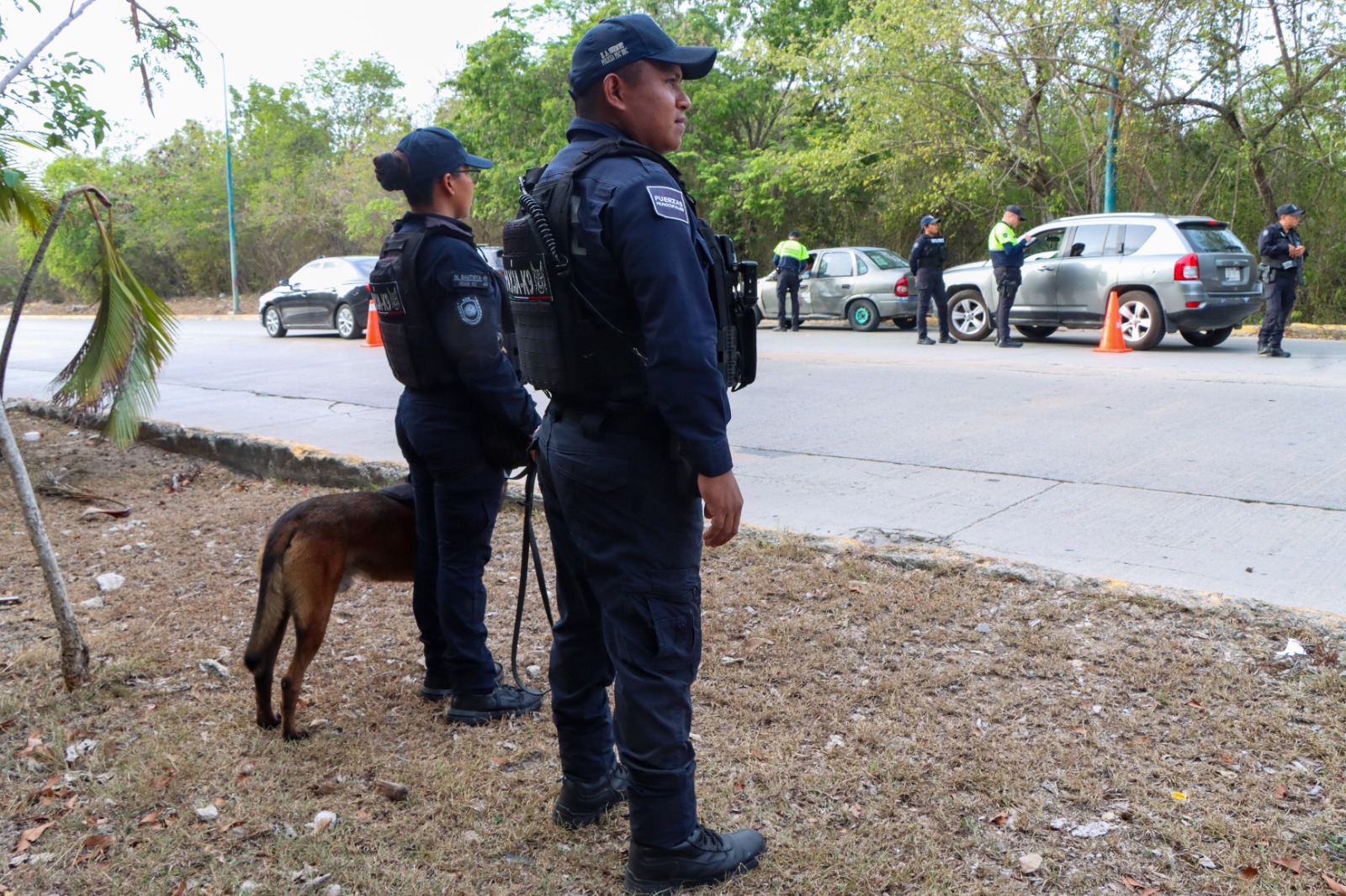 Investigan a 25 policías de Playa del Carmen por denuncias ciudadanas en su contra