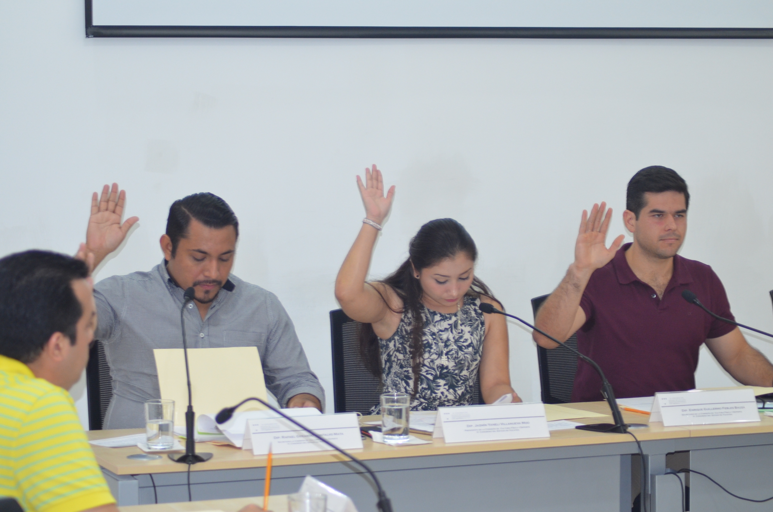 Deportistas, al Congreso