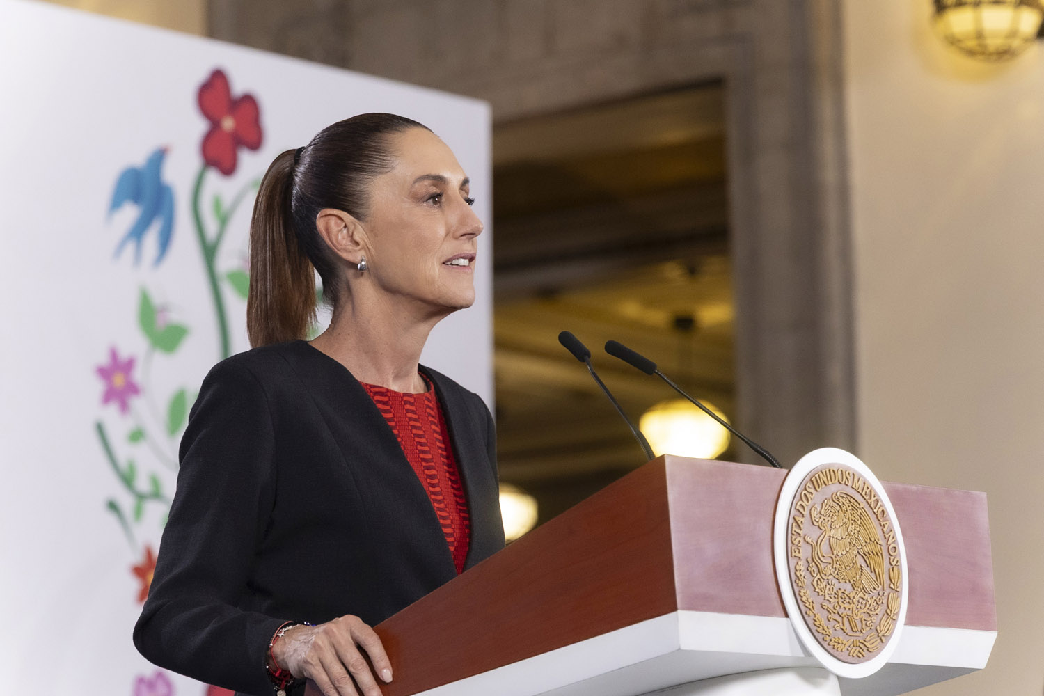 Comisión de verificación: sanear la política