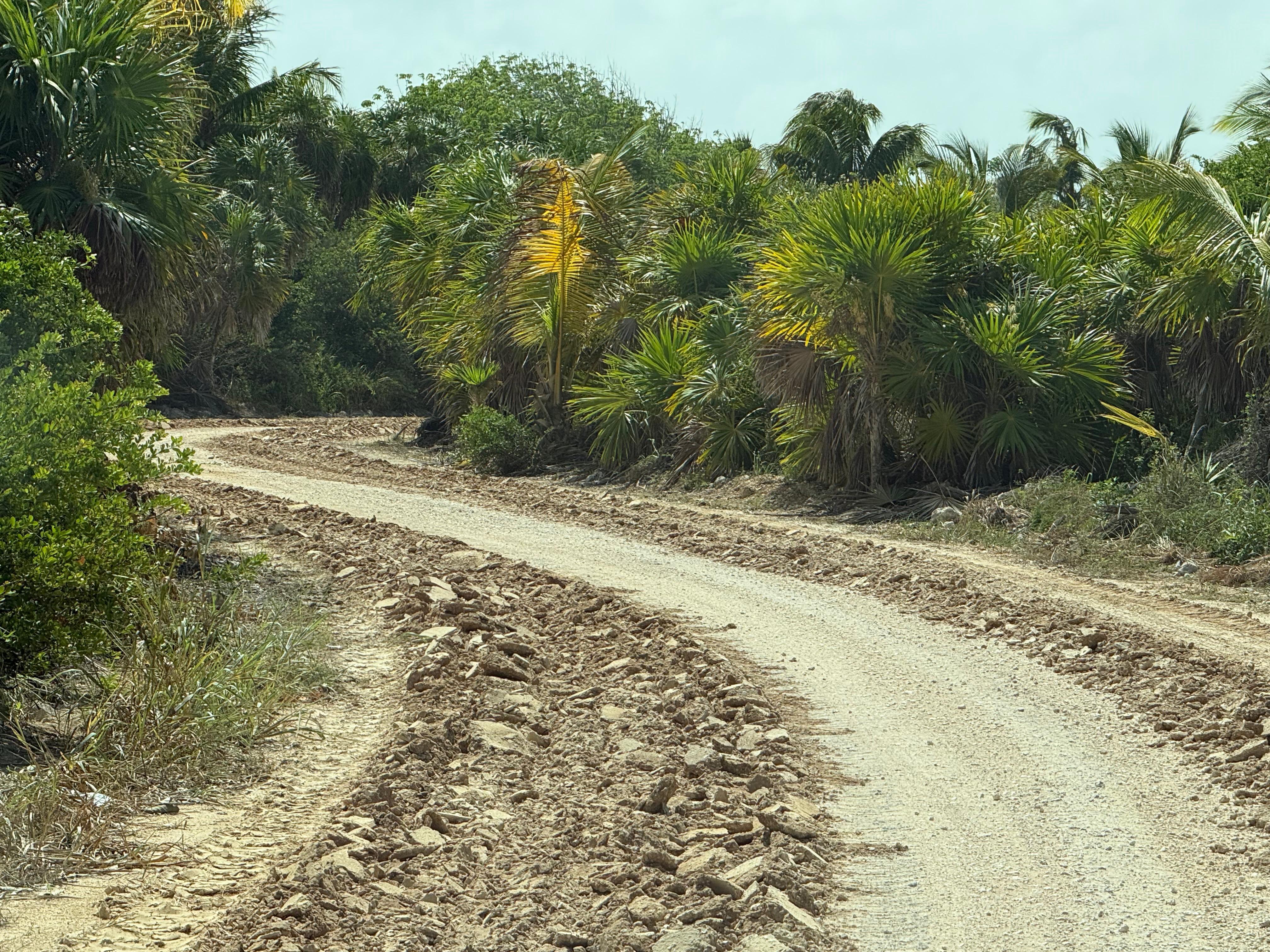 Lleva 80 por ciento de avance rehabilitación del camino a Punta Allen
