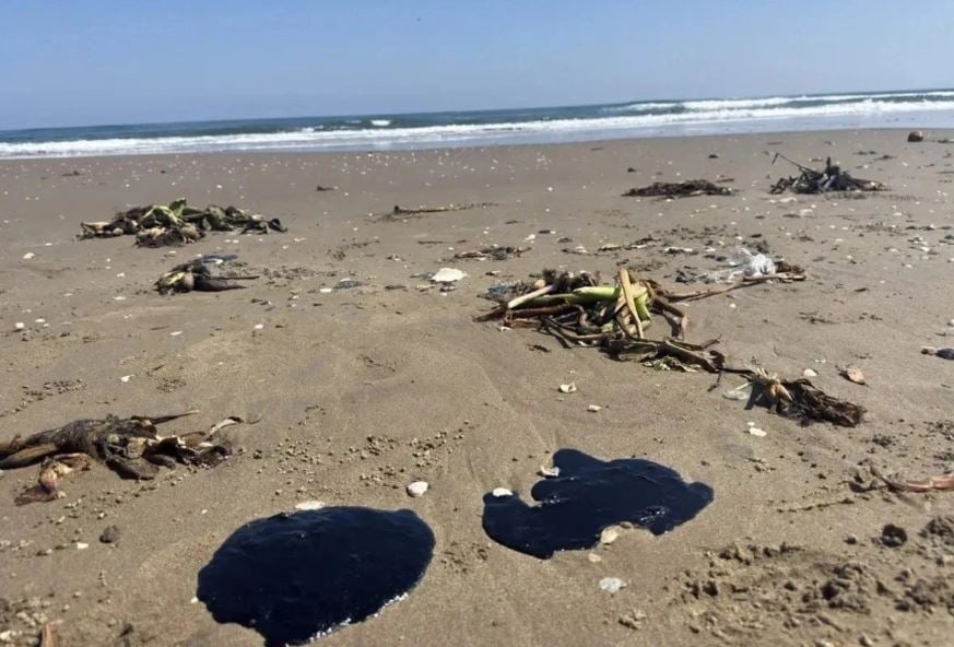 Greenpeace México exige mediante denuncias en Pemex y ASEA investigación por derrame en el Golfo