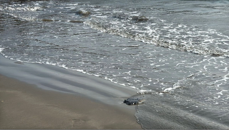 Lo que sucedió en Veracruz, ''fue descarga, no derrame'': Semarnat