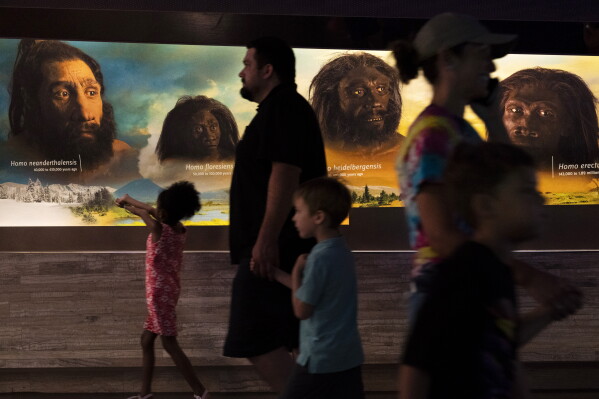 La organización de la salud en los grupos de humanos neandertales