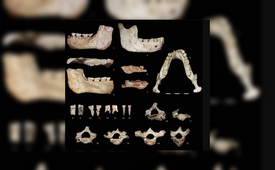 Hallan en Marruecos restos de homínidos de hace 770 mil años