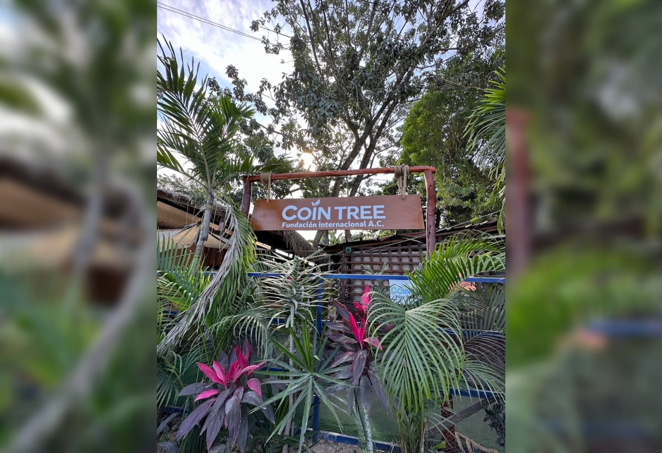 Repuntan enfermedades gastrointestinales en colonias irregulares de Tulum