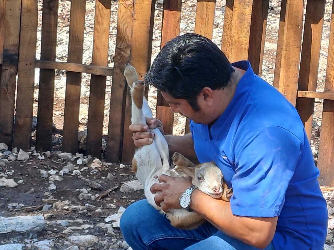 En Playa del Carmen llevan el programa ''Veterinario en tu rancho'' a comunidades rurales