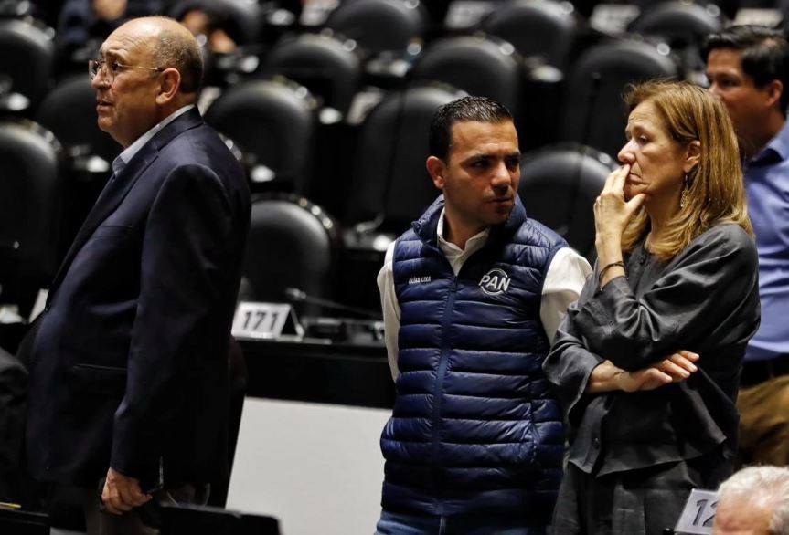 Diputados aprueban nulidad electoral por intervención extranjera