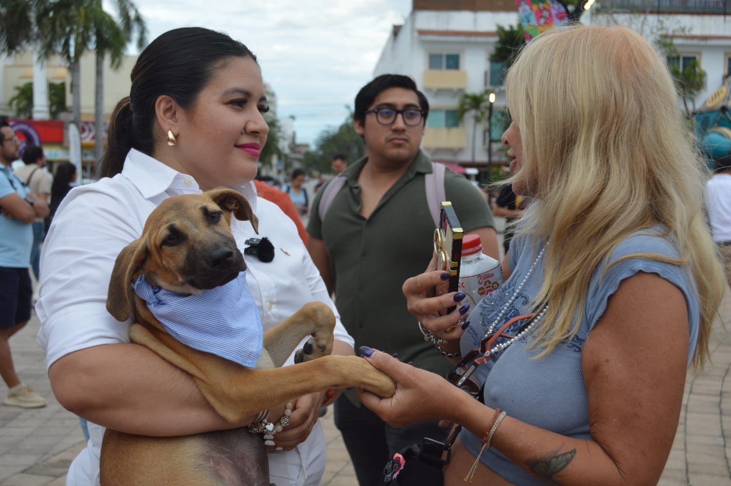 Realizan el segundo ''Dog Beach Festival'' en Playa del Carmen