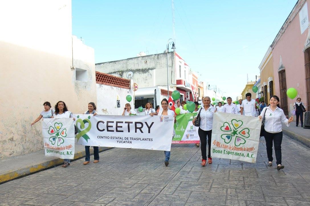 Fomento de altruismo y vida