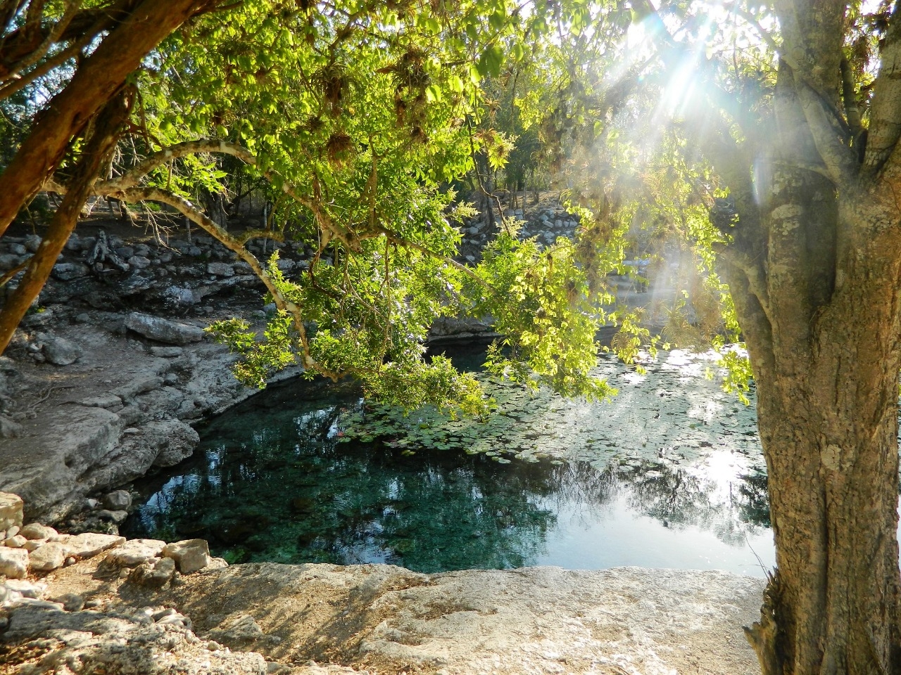 Dzibilchaltún, un sitio maya de importancia histórica y cultural
