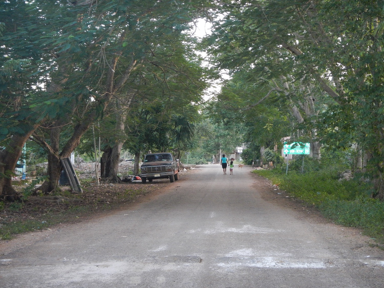 La ecología permitirá el networking y las alianzas comerciales: TNC