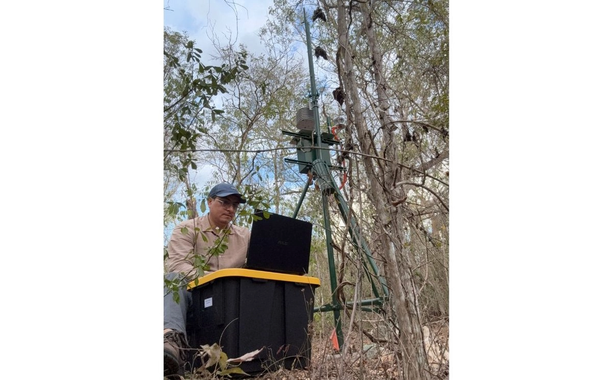 ENES Mérida desarrolla sistema 'PYcast-Kauil' para monitorear escenarios de contaminación en Yucatán