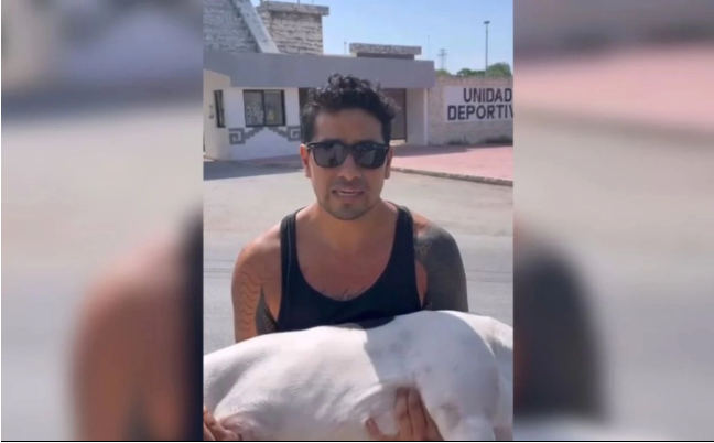 Fiscalía de QRoo investiga presunto envenenamiento de un canino en Tulum