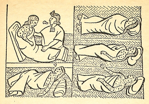 Historia de las epidemias en Yucatán