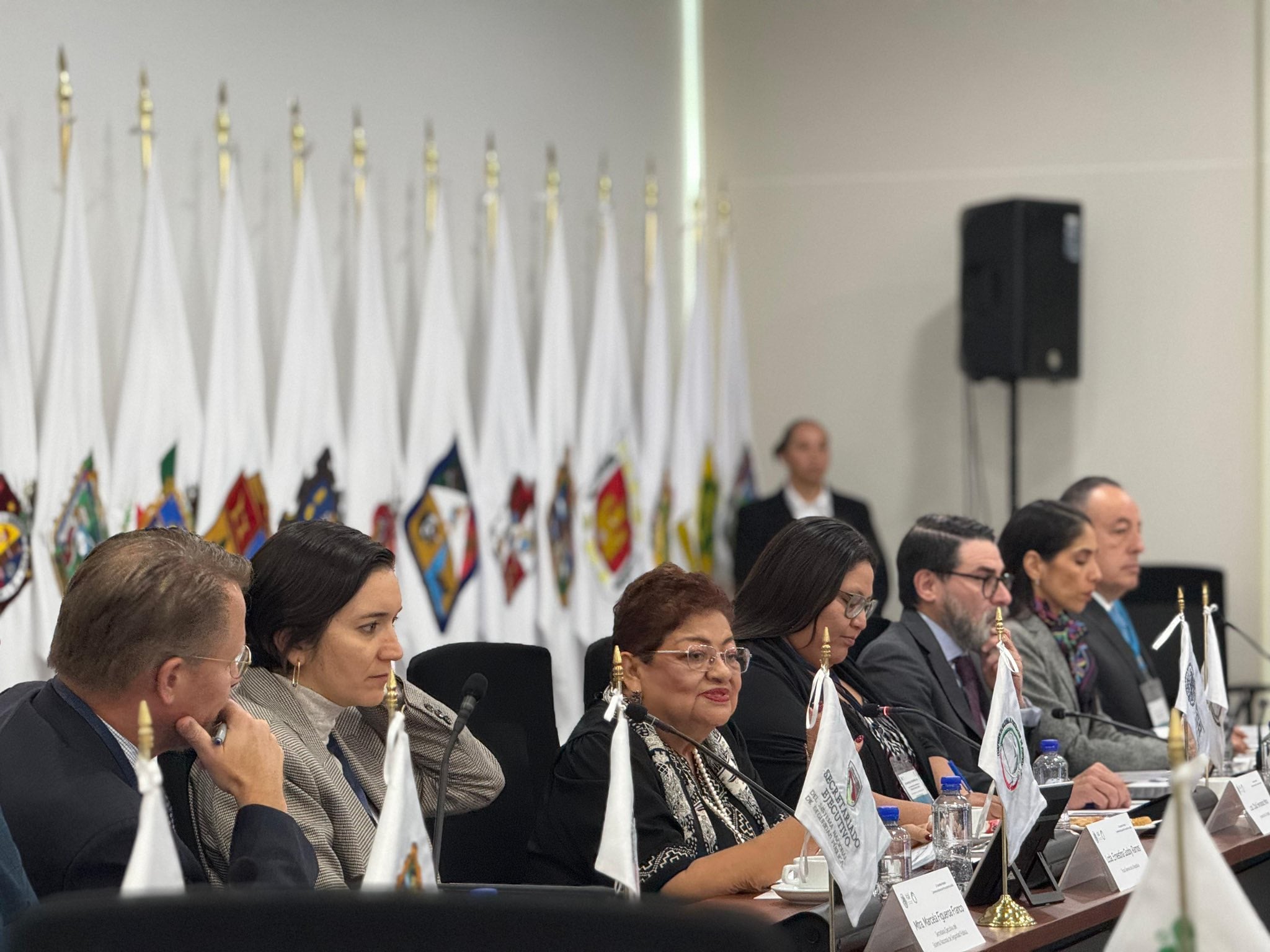 Ernestina, velocímetro distinto a Gertz