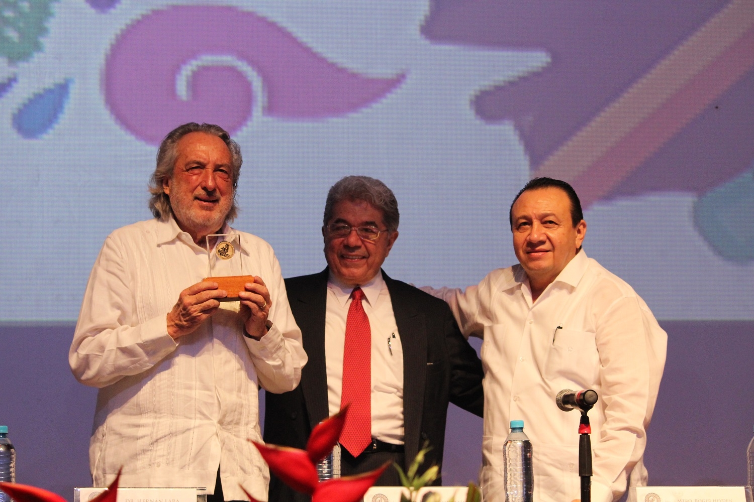 FICMaya 2017 se dedicará a Mérida: Esma Bazán