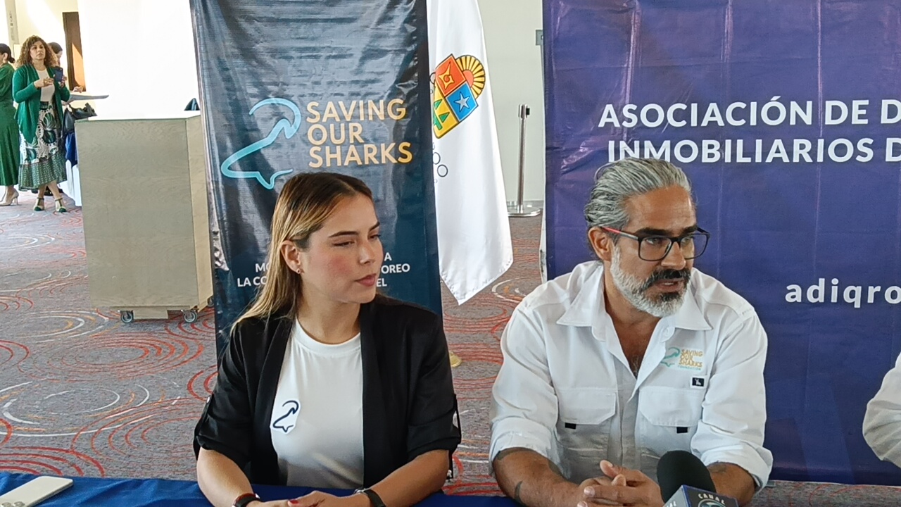 Alistan en QRoo el primer refugio pesquero para tiburones y rayas de México