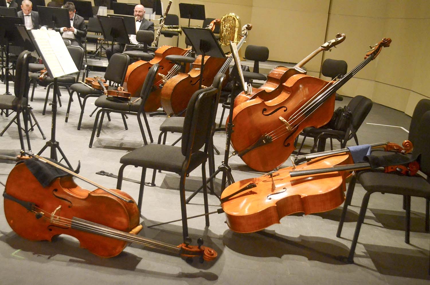 Incertidumbre en derechos culturales